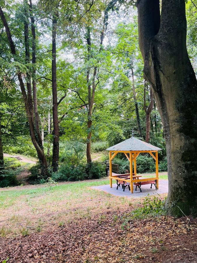 Casa Inn Parkview - Relax & Chill - Perfect For Business Travel, Weekend Trip, Family&Friends, Dogs Lover, Romance, Layover Or Longstay Limburg an der Lahn Exterior foto